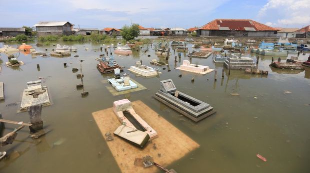 Sejumlah makam terendam banjir rob di Desa Eretan Wetan, Kandanghaur, Indramayu, Jawa Barat, Rabu (9/11/2022). Banjir akibat pasang air laut tersebut sering terjadi di kawasan itu dengan ketinggian air mencapai 50 cm yang mengakibatkan pemakaman dan akses jalan terendams. ANTARA FOTO/Dedhez Anggara/YU