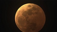 BMKG pun berhasil memotret puncak gerhana bulan di Ternate, Maluku Utara. BMKG mengakui bahwa beberapa wilayah kesulitan melihat langsung gerhana bulan total. Foto: dok Twitter @infoBMKG