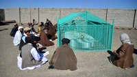 Taliban baru mengakui pada April 2015 bahwa petinggi mereka, Mullah Omar telah meninggal dunia di tahun 2013. (AFP via Getty Images)  
