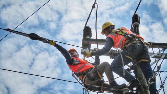 Petugas PLN melakukan pemeliharaan jaringan distribusi, Rabu (9/11/2022).