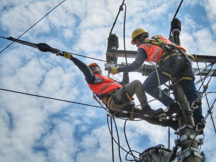 Petugas PLN melakukan pemeliharaan jaringan distribusi, Rabu (9/11/2022).