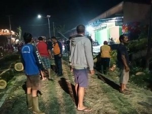 Trembesi Tumbang Tutup Jalan, Jalur Denpasar-Singaraja Lumpuh 2 Jam