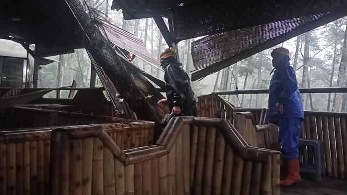 pohon tumbang timpa warung di kota batu
