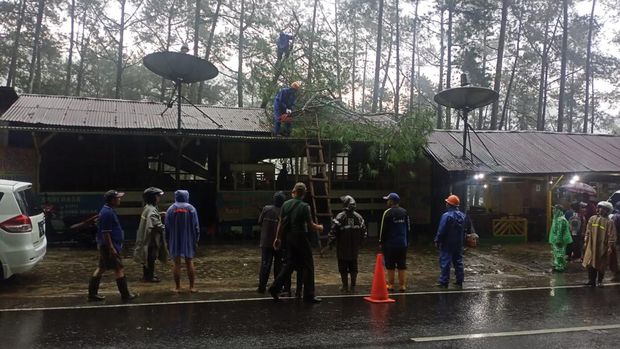 pohon tumbang timpa warung di kota batu