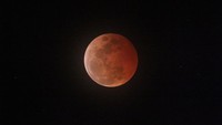 Badan Meteorologi Klimatologi dan Geofisika (BMKG) pun mengamati gerhana bulan di sejumlah titik. Salah satunya di Saumlaki Maluku. Puncak gerhana bulan total teramati oleh tim dari BMKG. Foto: dok. Twitter @infoBMKG