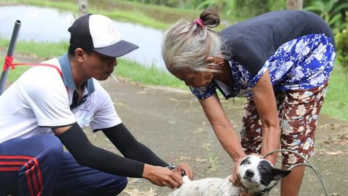 Kegiatan vaksinasi hewan penular rabies di Buleleng.