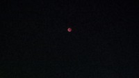 Warga Gorontalo Utara bersyukur dapat mengabadikan fenomena astronomis tersebut dengan kamera ponsel secara jelas. Foto: (ANTARA/Susanti Sako)