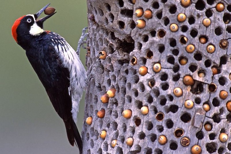 Deretan foto bikin bergidik