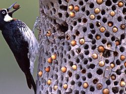 Awas Foto Ini Bisa Bikin Bergidik