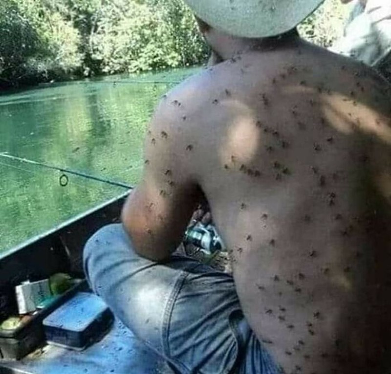 Deretan foto bikin bergidik