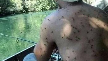 Donor darah. Foto: Boredpanda