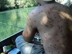 Awas Foto Ini Bisa Bikin Bergidik