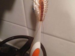 Awas Foto Ini Bisa Bikin Bergidik