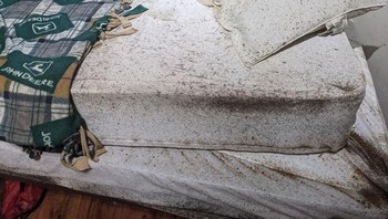 Serangan serangga di tempat tidur. Foto: Boredpanda