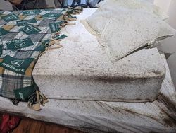 Awas Foto Ini Bisa Bikin Bergidik