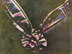 Deretan Foto-foto Serba Pertama di Dunia, Lihat Nih