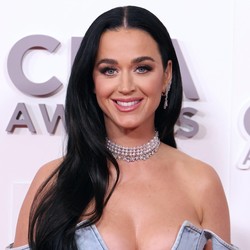 Dituduh Gak Berempati, Katy Perry Menang Gugatan Rp 30,9 M Vs Veteran Disabilitas
