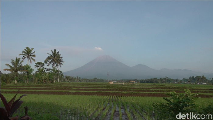 Kondisi terbaru Gunung Semeru usai menumpahkan awan panas guguran sejauh 4,5 kilometer