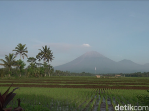 Kondisi Terkini Gunung Semeru Usai Luncurkan Awan Panas Sejauh 4,5 Km