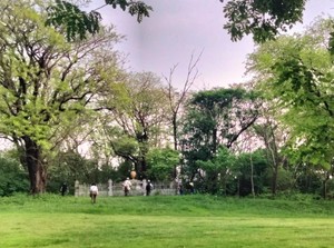 Lapangan Golf Tertua di Surabaya dan Misteri Makam Tua di Hole 18