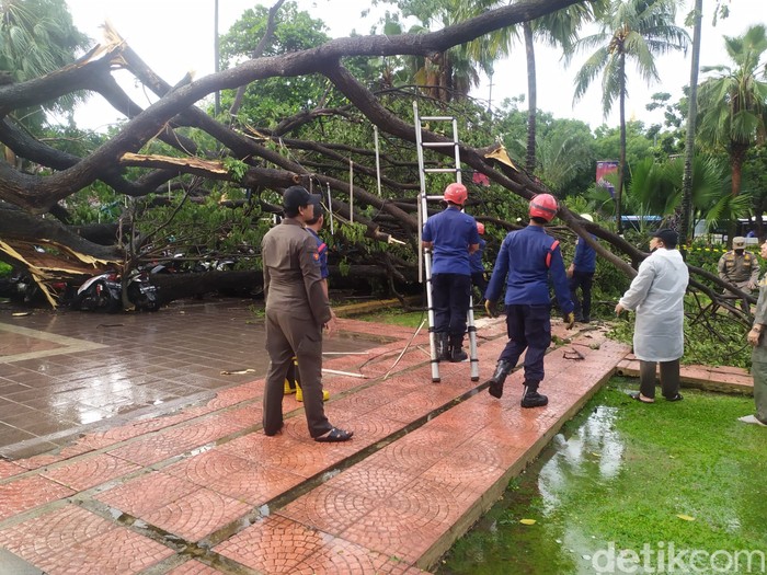 Pohon besar tumbang di Balai Kota DKI Jakarta (Kadek/detikcom)