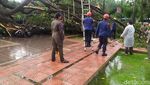 Penampakan Pohon Besar Tumbang Timpa 4 Polisi di Balai Kota DKI