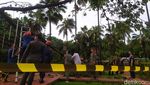 Penampakan Pohon Besar Tumbang Timpa 4 Polisi di Balai Kota DKI