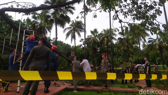 Pohon besar tumbang di Balai Kota DKI Jakarta (Kadek/detikcom) Pohon besar tumbang di Balai Kota DKI Jakarta (Kadek/detikcom)