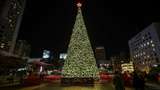 Pohon Natal Raksasa di San Francisco AS Mulai Kelap-kelip