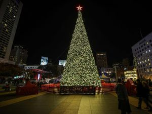 Pohon Natal Raksasa di San Francisco AS Mulai Kelap-kelip