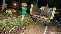 Truk-truk mengangkut pohon yang digergaji.