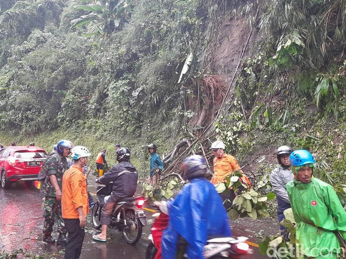 Pohon tumbang di Cadas Pangeran, Sumedang.