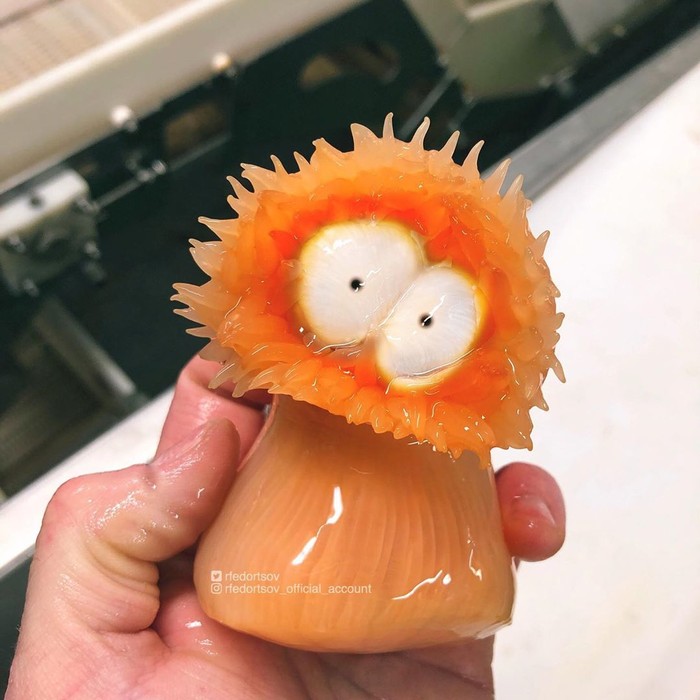 Pria Ini Tangkap Ikan yang Bentuknya Mengerikan Seperti Monster
