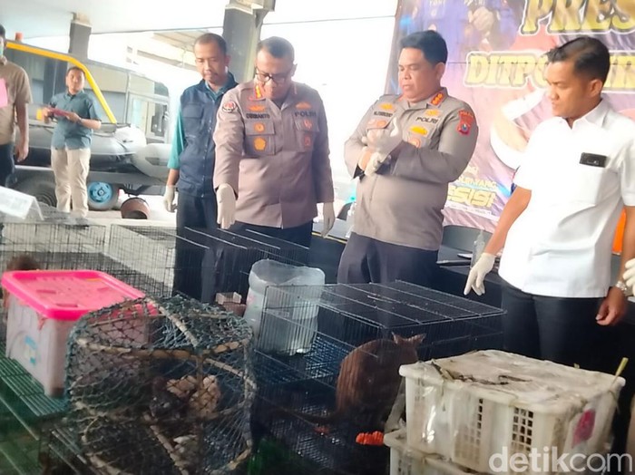 Satwa langka asal Papua yang hendak diselundupkan ke Surabaya
