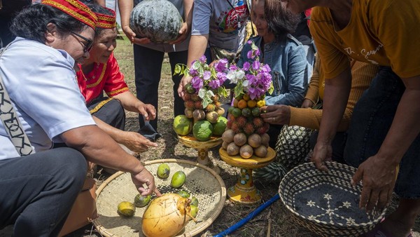 Festival yang menekankan partisipasi masyarakat adat ini menampilkan berbagai atraksi budaya dan tradisi masing-masing suku termasuk kekhasan kulinernya.  