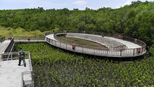 Pekerja menyelesaikan instalasi pendukung di Taman Hutan Raya (Tahura) Ngurah Rai menjelang Konferensi Tingkat Tinggi (KTT) G20 di Denpasar, Bali, Rabu (9/11/2022). Hutan bakau tersebut rencananya akan menjadi salah satu tempat yang dikunjungi oleh para kepala negara / kepala pemerintahan dan pimpinan lembaga peserta KTT G20 pada 16 November.