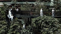 Taman ini dibangun untuk menyambut para pendatang dalam rangka ajang Piala Dunia 2022 yang akan dimulai pada penghujung bulan ini. (REUTERS/Hamad I Mohammed)