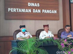 Pemkab Banyuwangi Minta Petani Tak Risau Terkait Ketersediaan Pupuk Subsidi