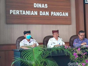 Pemkab Banyuwangi Minta Petani Tak Risau Terkait Ketersediaan Pupuk Subsidi