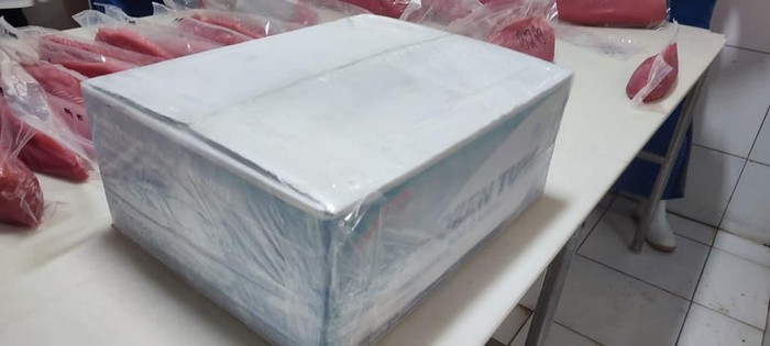 Ekspor Ikan Tuna