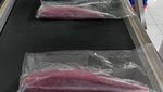 10,8 Ton Tuna Loin Siap Meluncur ke Jepang