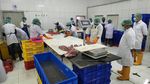 10,8 Ton Tuna Loin Siap Meluncur ke Jepang