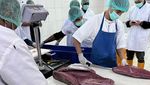 10,8 Ton Tuna Loin Siap Meluncur ke Jepang