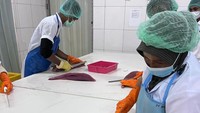 Selain itu, pada bulan yang sama, PT Perikanan Indonesia Cabang Bitung juga memasok ikan tuna sebanyak 600 kg ke Singapura. Ekspor ini dilakukan untuk memenuhi permintaan dari perusahaan Kida Food Ltd.