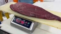 Ikan tuna yang diekspor oleh PT Perikanan Indonesia telah lolos quality control dan lolos Food and Drug administration. Sehingga mutu dan kualitas ikan terjamin secara keamanannya.
