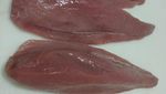 10,8 Ton Tuna Loin Siap Meluncur ke Jepang
