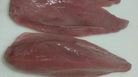 Tuna yang diekspor yakni Ikan Tuna Loin Natural Beku dengan kapitalisasi senilai 9 Juta yen. Ekspor ini dilakukan oleh salah satu cabang PT Perikanan Indonesia di Ambon, Provinsi Maluku.