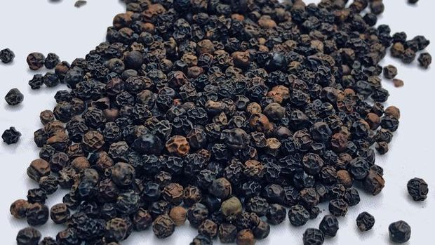manfaat lada hitam untuk kesehatan