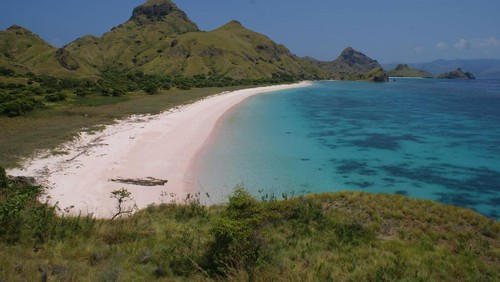 Long Pink Beach