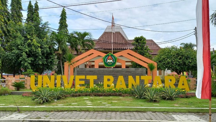 Mahasiswa Univet Bantara Sukoharjo, Anggit Setiawan (24), menunggang sapi setelah wisuda, Kamis (10/11/2022). Mahasiswa Univet Bantara Sukoharjo, Anggit Setiawan (24), menunggang sapi setelah wisuda, Kamis (10/11/2022).